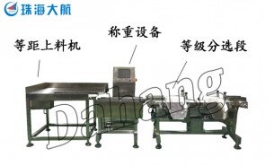珠海老品牌稱(chēng)重機(jī)廠(chǎng)家-珠海大航