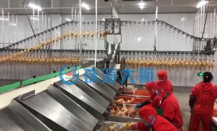 復(fù)工后禽肉屠宰加工產(chǎn)量提不上去？快用珠海大航重量分選機(jī)