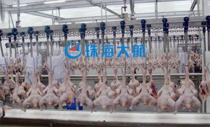 重量分揀設(shè)備如何實現(xiàn)整雞分選？