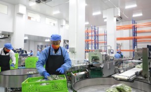 蔬菜配重機：解決人工成本與效率問題，助力蔬菜加工發(fā)展